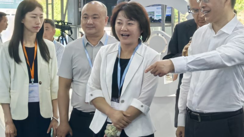 刹车片安装：揭秘安装费用背后的真相